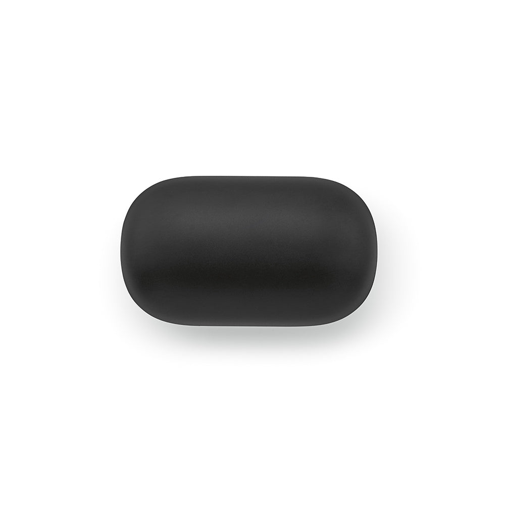 The Pasteur – Earbuds – Schwarz