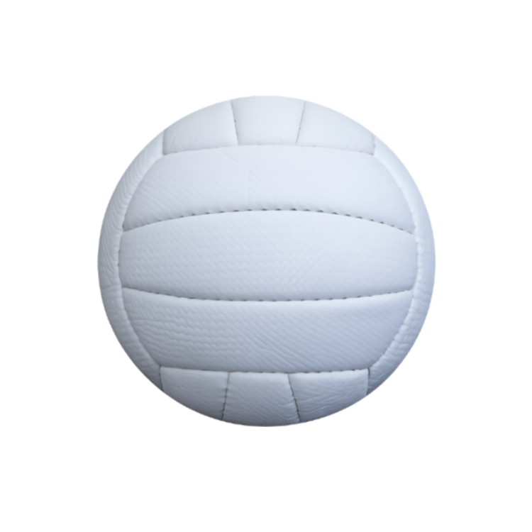 Volleyball The Cast